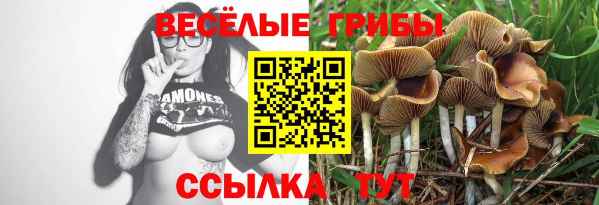 Родники  Галлюциногенные грибы мухоморы  где продают   Вход с VPN 